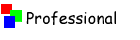 Professional